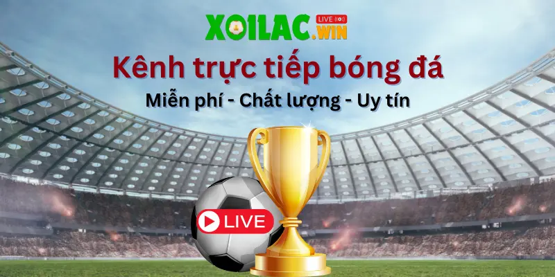 Xoilac tv - Kênh xem trực tiếp bóng đá Miễn phí - Chất Lượng