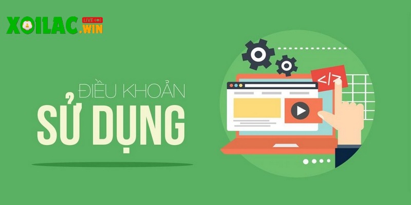 Lưu ý một số điều cơ bản trong điều khoản khi tham gia trải nghiệm tại web Lưu ý một số điều cơ bản trong điều khoản khi tham gia trải nghiệm tại web