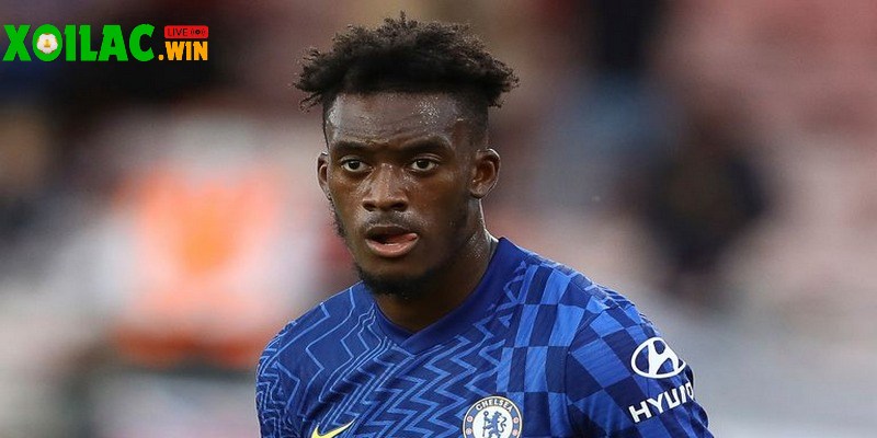 Man United đại chiến Napoli dành chữ ký của Hudson-Odoi 2 Nottingham Forest muốn giữ người