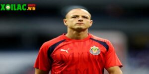 Chicharito đối mặt áp lực trong và ngoài sân cỏ