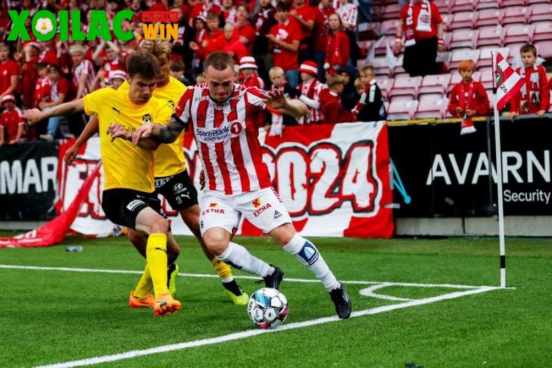 Soi kèo Flamengo RJ vs Mirassol - 4h30 ngày 10/8 - VĐQG Brazil 1 Soi kèo Flamengo RJ vs Mirassol - 4h30 ngày 10/8
