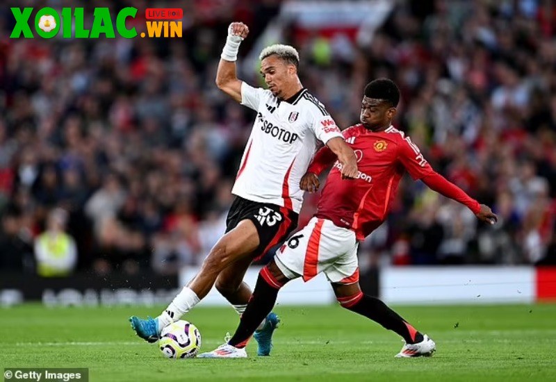 Soi kèo Fulham vs Manchester United - 22h30 ngày 24/8 - Ngoại hạng Anh 1 Soi kèo Fulham vs Manchester United - 22h30 ngày 24/8