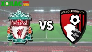 Soi kèo Liverpool vs Bournemouth - 2h00 ngày 16/8 - Ngoại hạng Anh