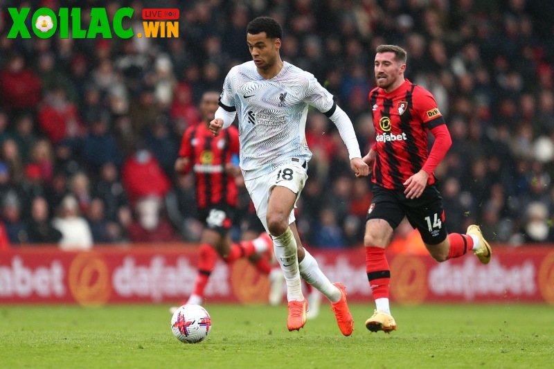 Soi kèo Liverpool vs Bournemouth - 2h00 ngày 16/8 - Ngoại hạng Anh 1 Soi kèo Liverpool vs Bournemouth - 2h00 ngày 16/8