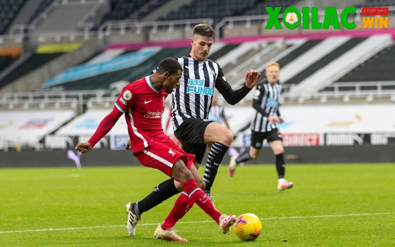 Soi kèo Newcastle vs Liverpool - 2h00 ngày 26/8 - Ngoại hạng Anh 1 Soi kèo Newcastle vs Liverpool - 2h00 ngày 26/8