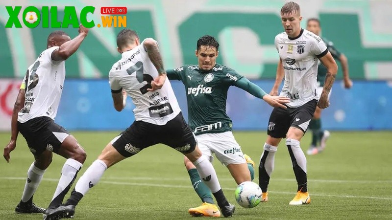 Soi kèo Palmeiras vs Ceara - 2h00 ngày 11/8 - VĐQG Brazil 1 Soi kèo Palmeiras vs Ceara - 2h00 ngày 11/8