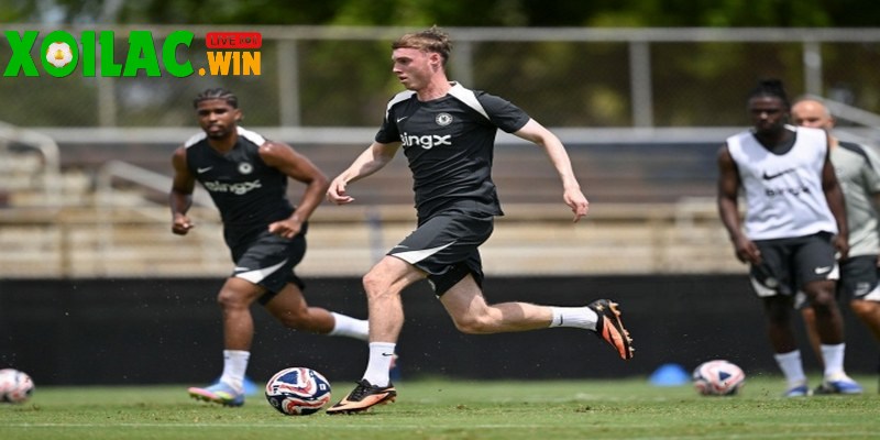 Benfica sẵn sàng tạo địa chấn trước Chelsea