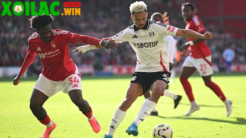 Soi kèo Fulham vs Nottingham - 3h00 ngày 23/12