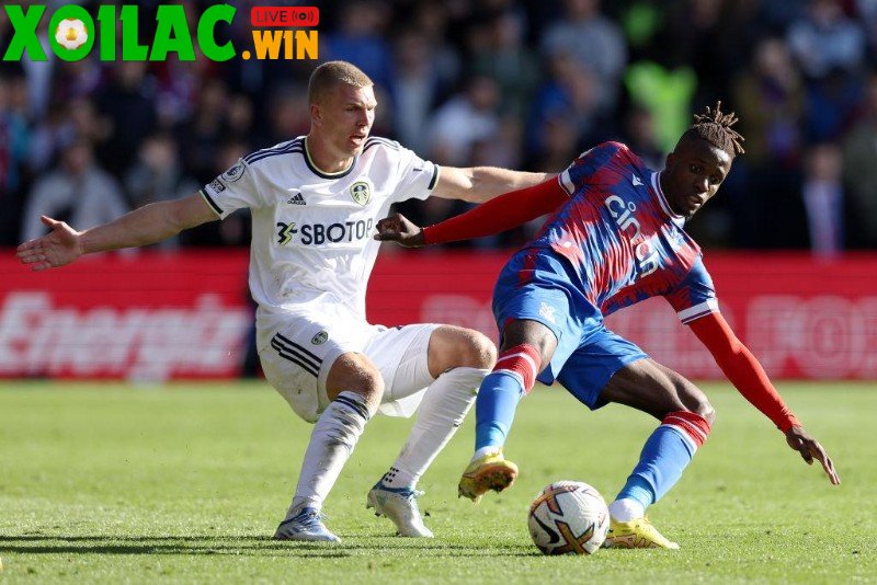 Soi kèo Leeds vs Crystal Palace - 3h00 ngày 21/12
